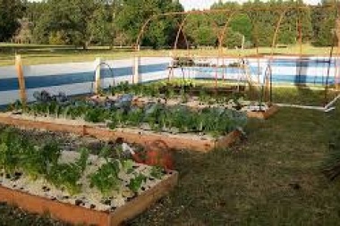 El municipio de La Plata fomenta la agroecología con capacitaciones virtuales