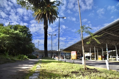 La Plata: colocaron eco-ceniceros y nuevos árboles en la Terminal de Ómnibus