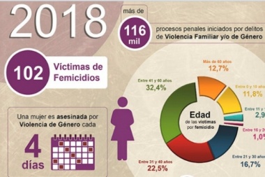 Aesinaron 8 mujeres por día en la provincia de Buenos Aires en 2018