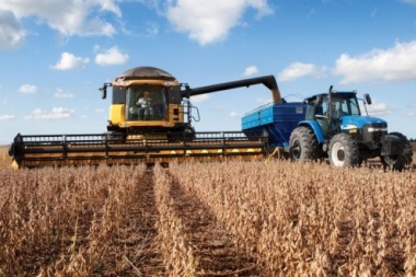La peor cosecha de soja en una década: por la sequía se perdieron US$ 4.200 millones