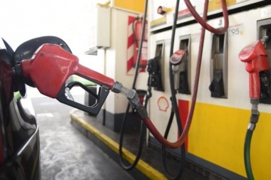 El gobierno congela los precios de los combustibles por 90 días