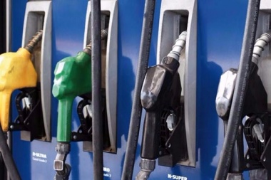 El Gobierno dispondrá precios "indicativos" para el combustible