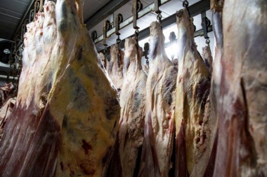 Carne: oficializan la flexibilización al cepo que prometió el Gobierno