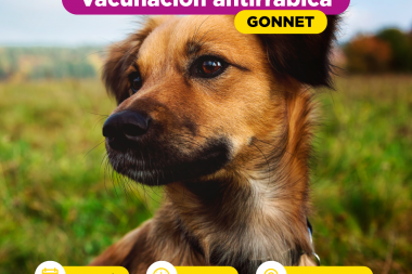 Se viene una jornada de vacunación antirrábica gratuita en Gonnet
